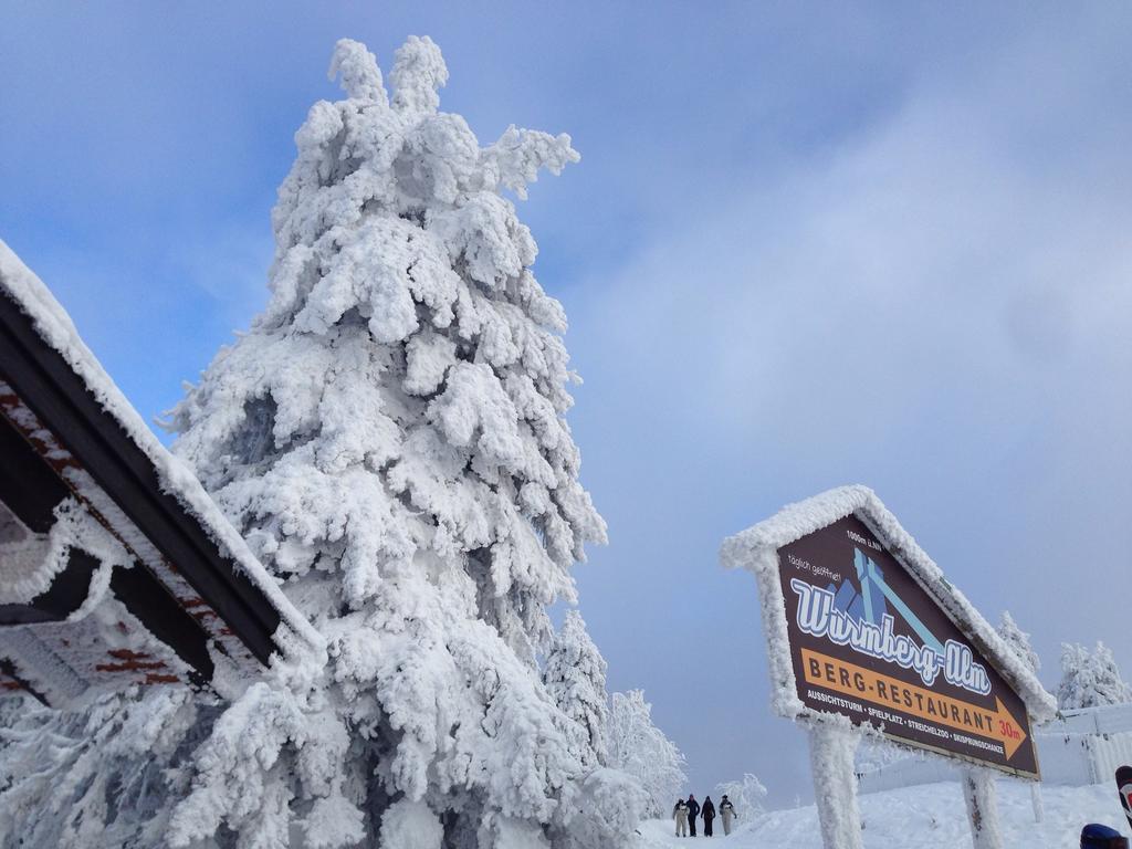 Hotel & Restaurant Druidenstein Trautenstein المظهر الخارجي الصورة