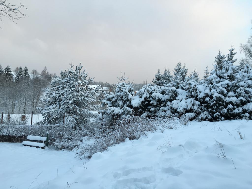 Hotel & Restaurant Druidenstein Trautenstein المظهر الخارجي الصورة