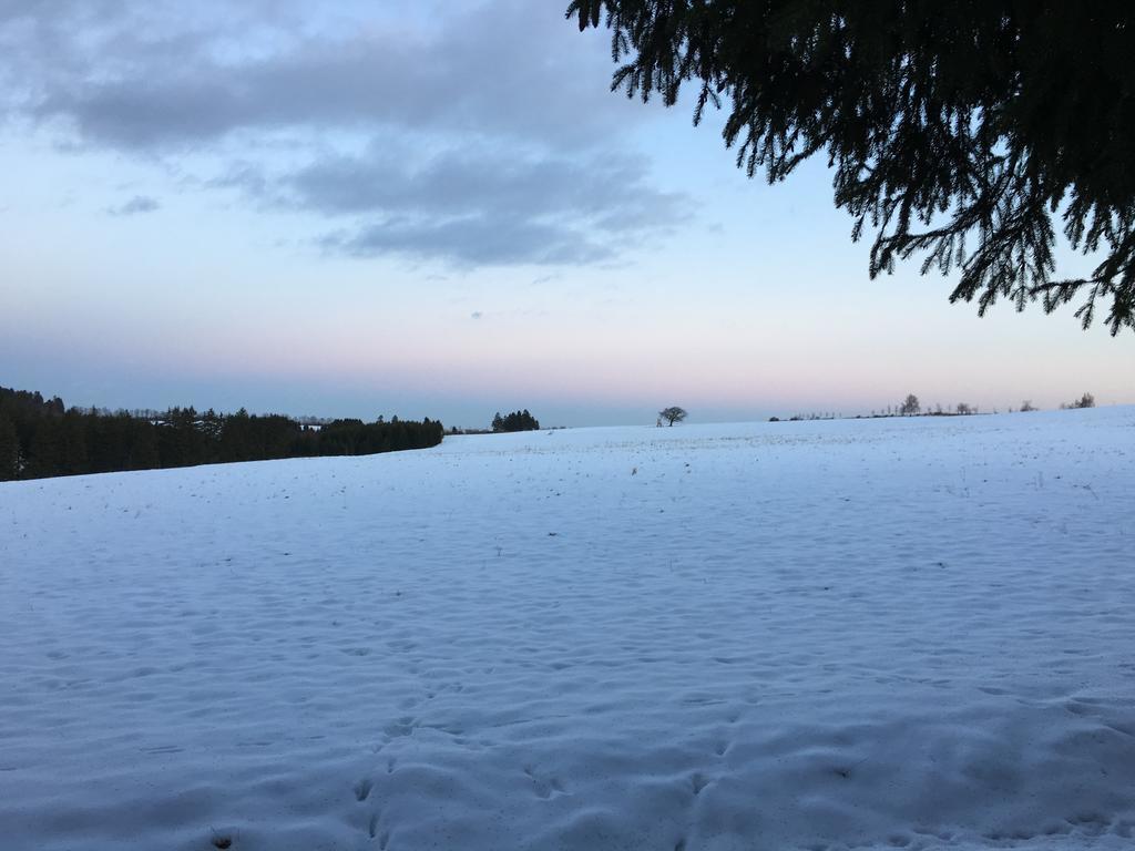 Hotel & Restaurant Druidenstein Trautenstein المظهر الخارجي الصورة