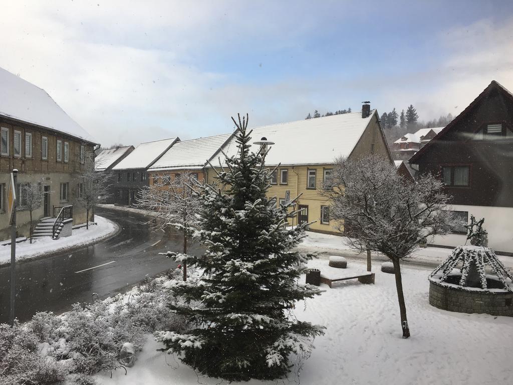 Hotel & Restaurant Druidenstein Trautenstein المظهر الخارجي الصورة