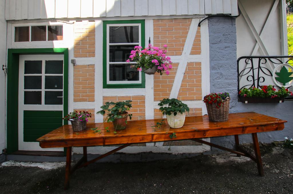 Hotel & Restaurant Druidenstein Trautenstein المظهر الخارجي الصورة